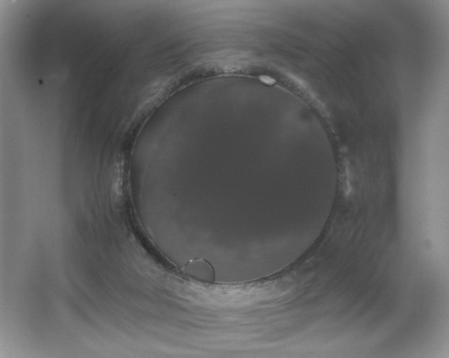 X0000067870018200604131248