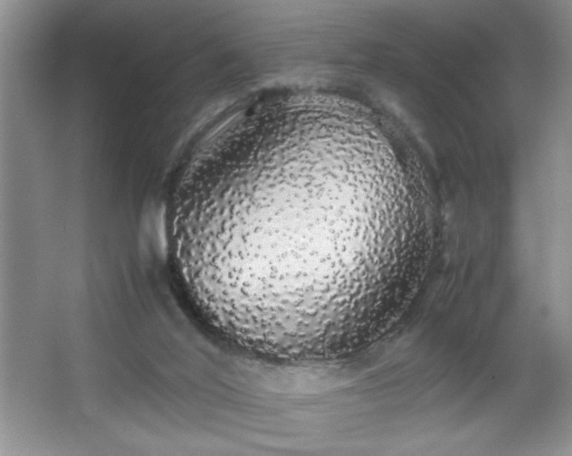 X0000067870020200604131248