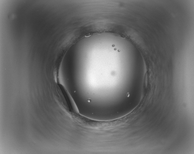 X0000067870021200604131248