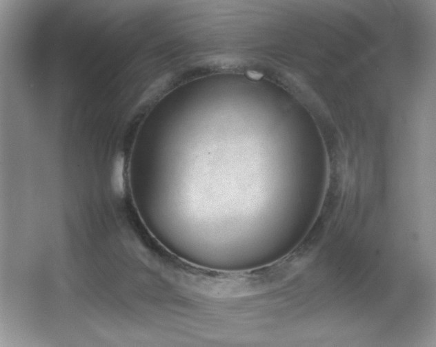 X0000067870024200604131248