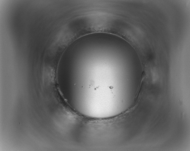 X0000067870025200604131248