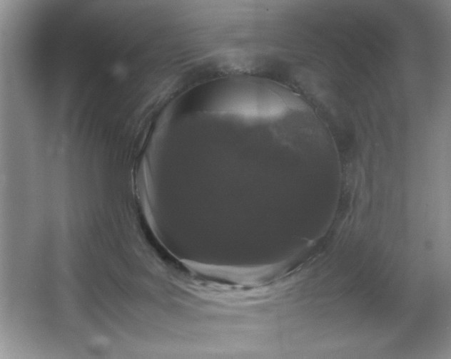 X0000067870027200604131248