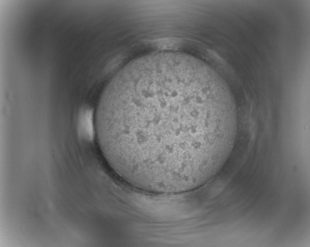 X0000067870028200604131248