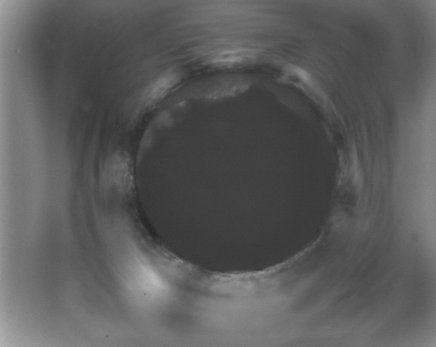 X0000067870029200604131248