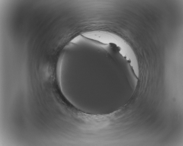 X0000067870031200604131248