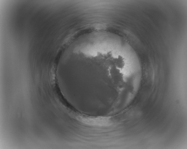 X0000067870032200604131248