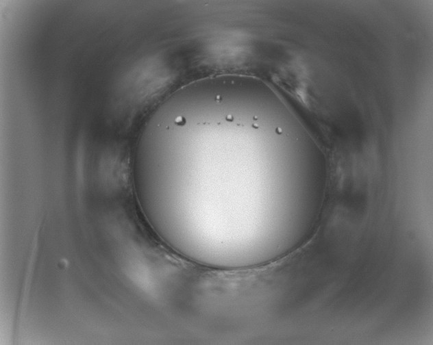 X0000067870033200604131248