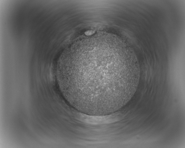 X0000067870034200604131248