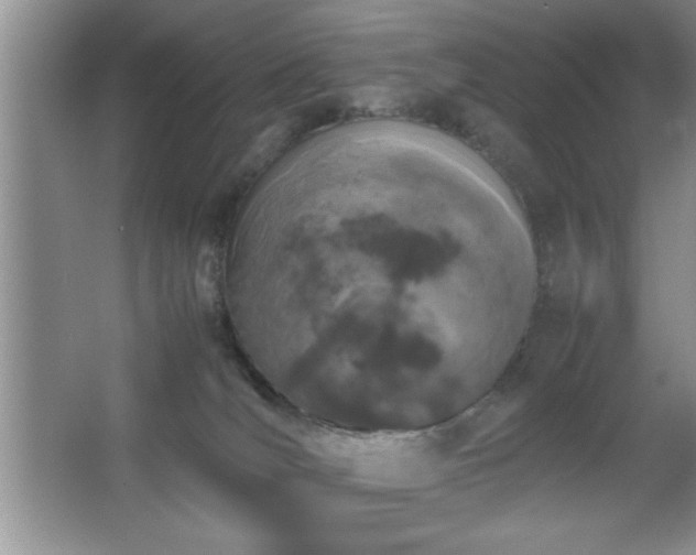 X0000067870036200604131248