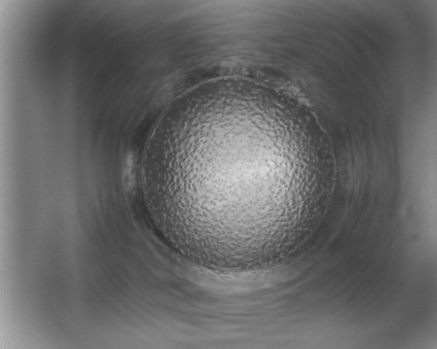 X0000067870038200604131248