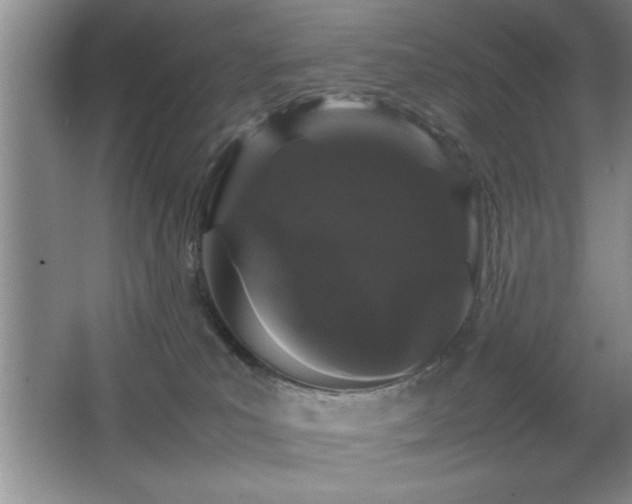 X0000067870039200604131248