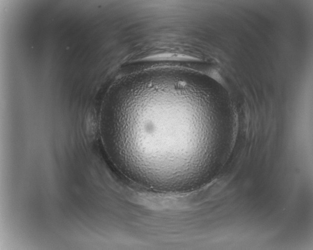 X0000067870040200604131248