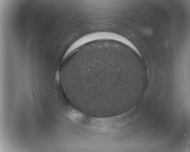 X0000067870041200604131248