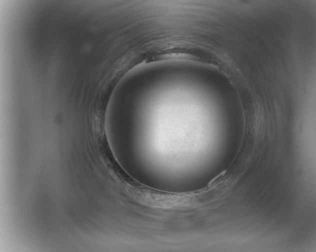 X0000067870044200604131248