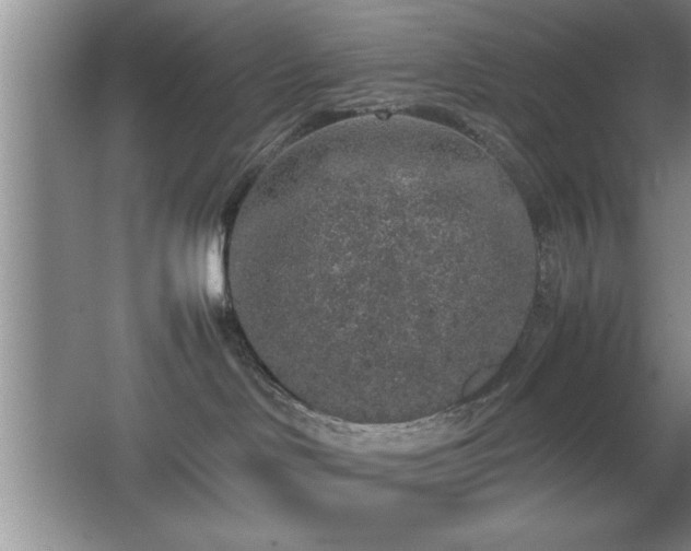 X0000067870046200604131248