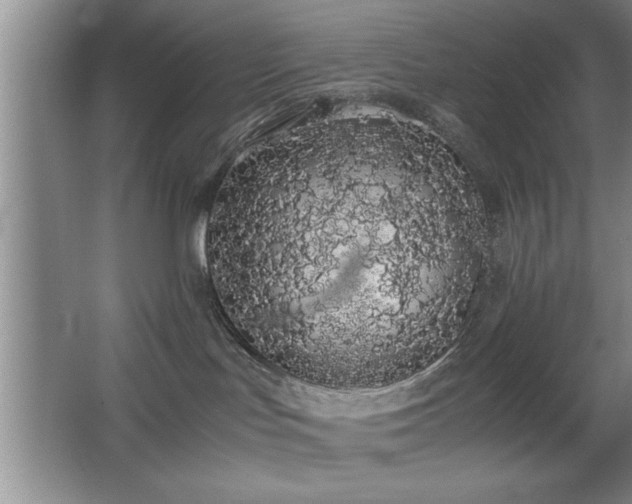 X0000067870047200604131248