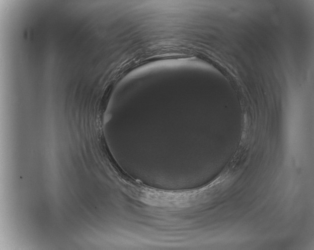 X0000067870048200604131247