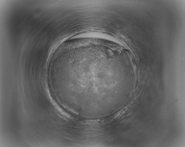 X0000067870049200604131247