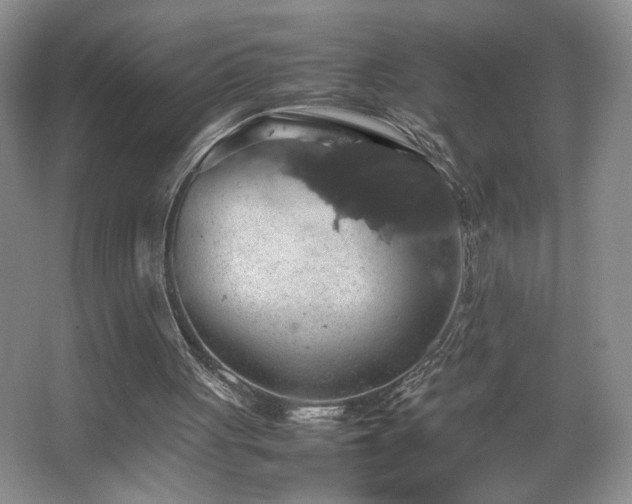 X0000067870051200604131247