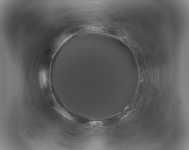 X0000067870052200604131247