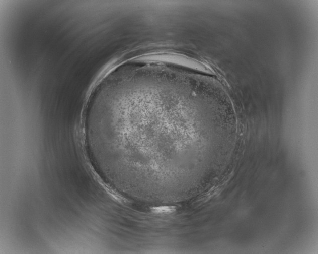 X0000067870053200604131247