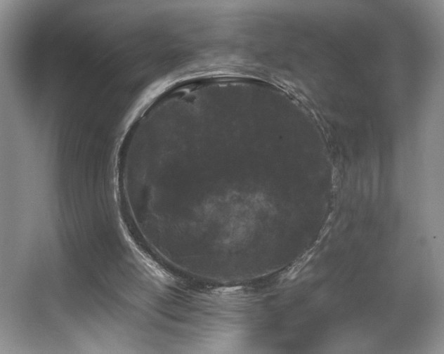 X0000067870054200604131247