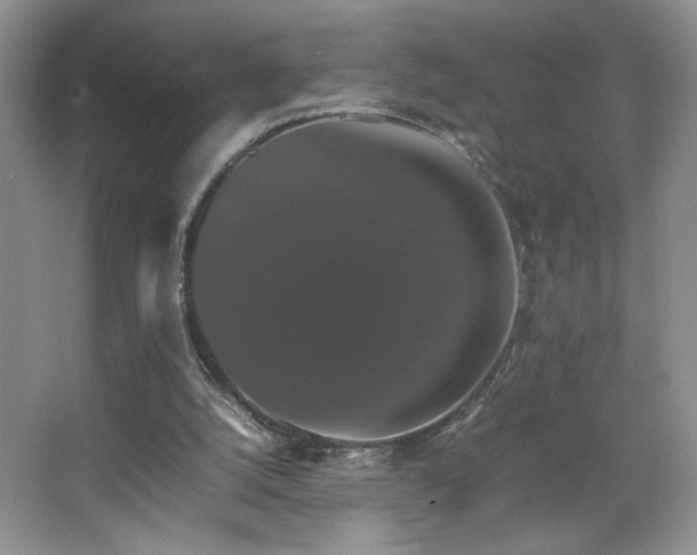 X0000067870056200604131247