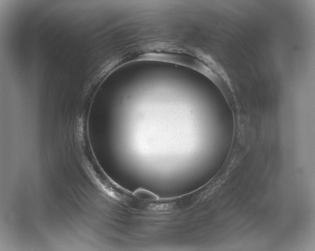 X0000067870057200604131247