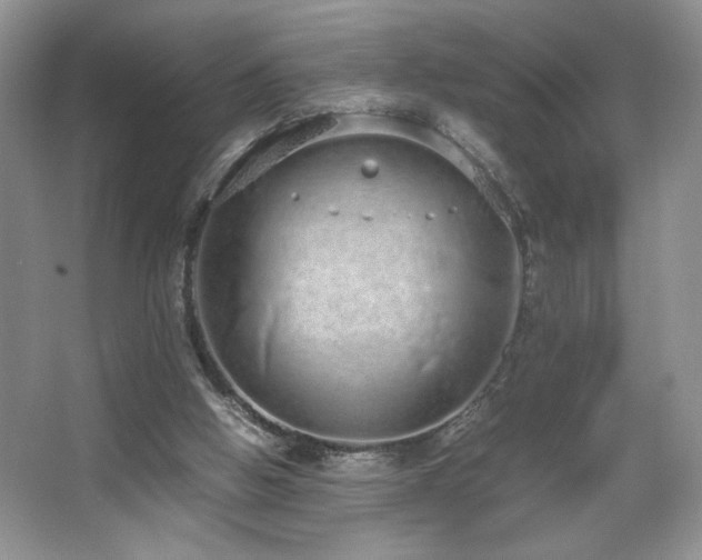 X0000067870058200604131247