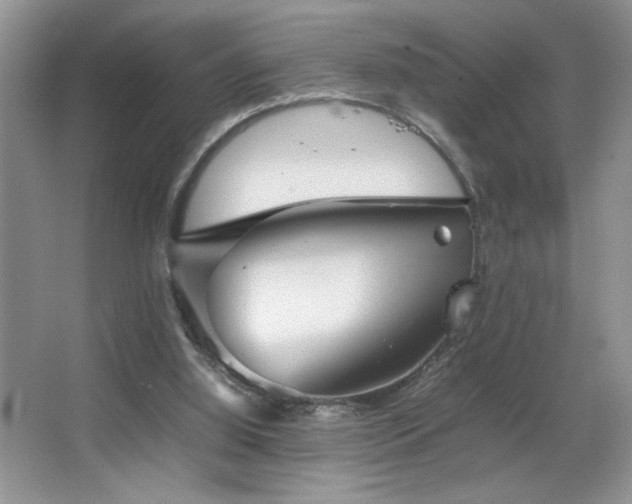 X0000067870060200604131247