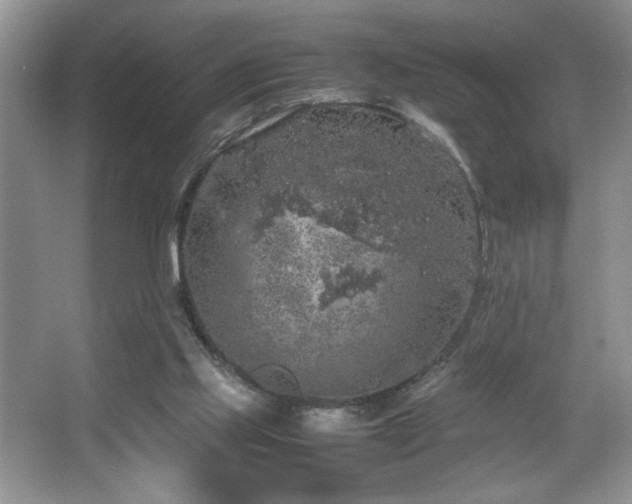 X0000067870061200604131247