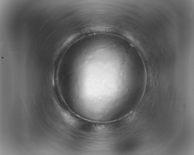 X0000067870062200604131247