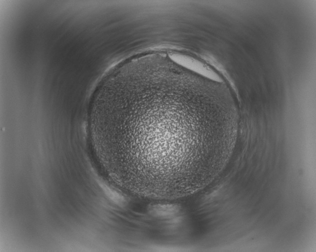 X0000067870063200604131247