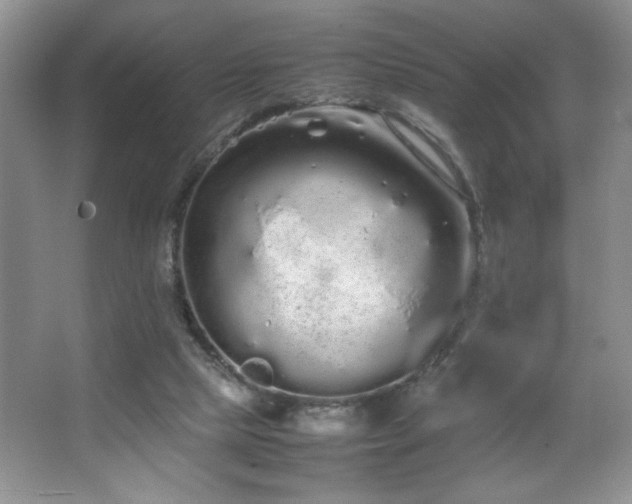 X0000067870065200604131247