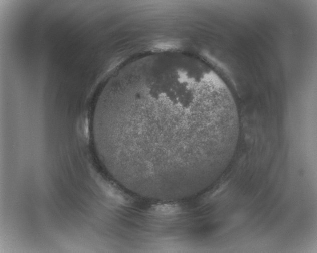 X0000067870067200604131247