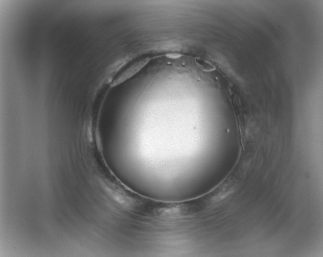 X0000067870068200604131247