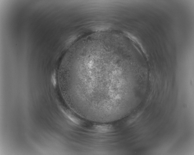 X0000067870069200604131247