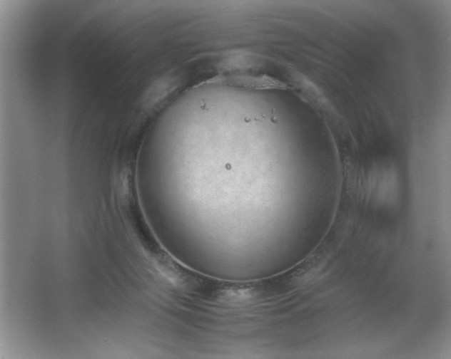 X0000067870071200604131247