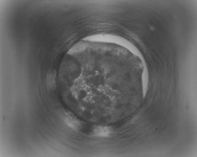 X0000067870073200604131247