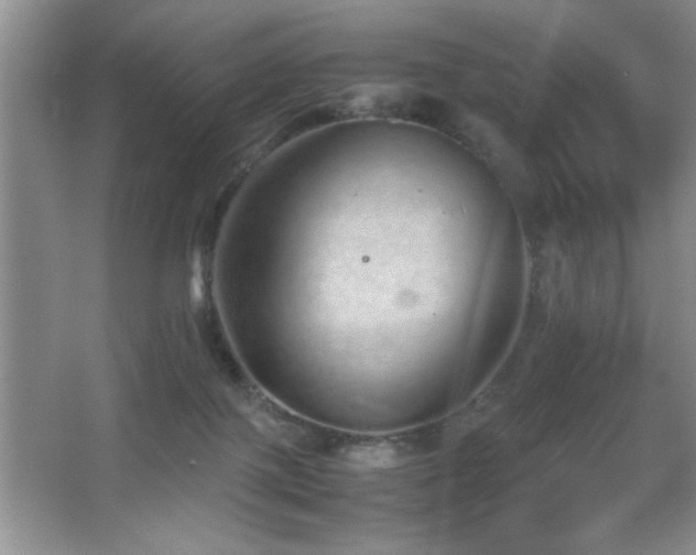 X0000067870075200604131247