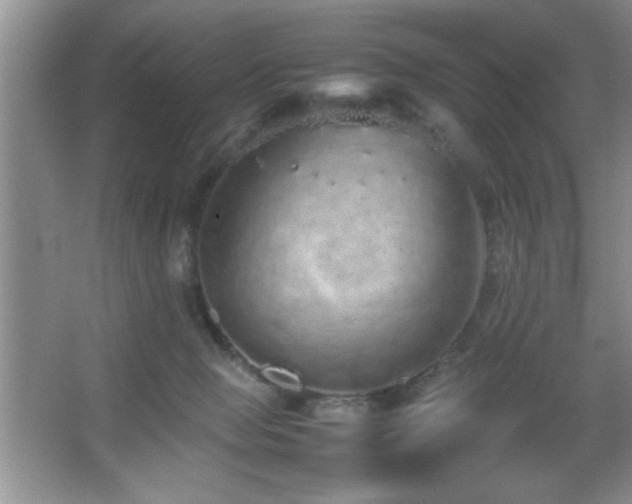 X0000067870077200604131247