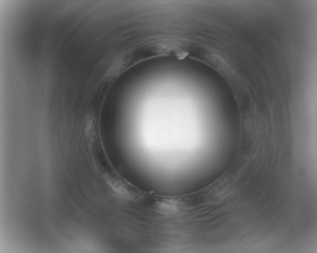 X0000067870079200604131247