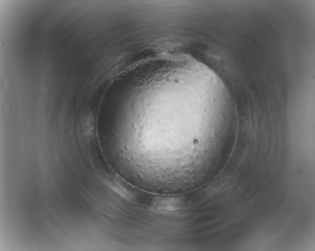 X0000067870081200604131247