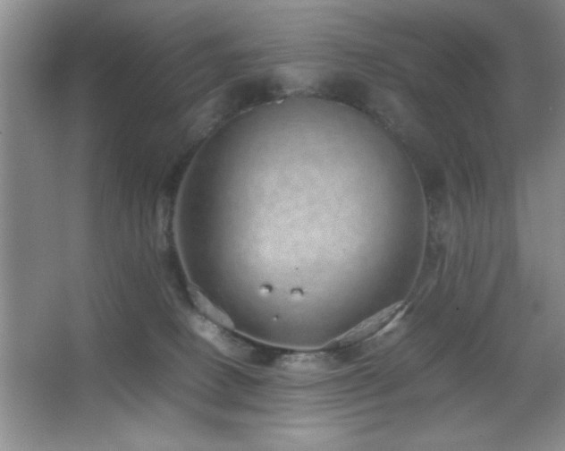 X0000067870082200604131247