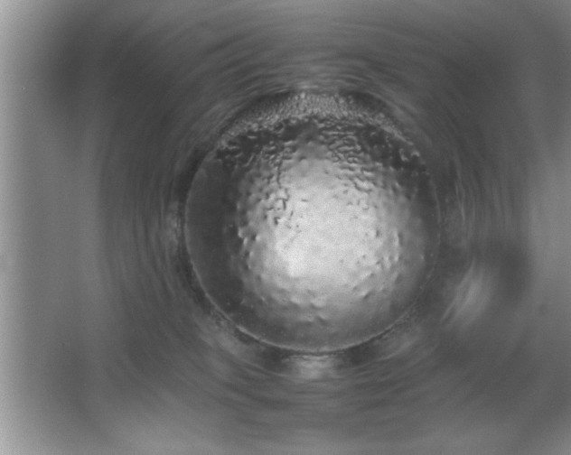 X0000067870085200604131247