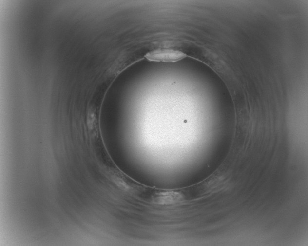 X0000067870087200604131247