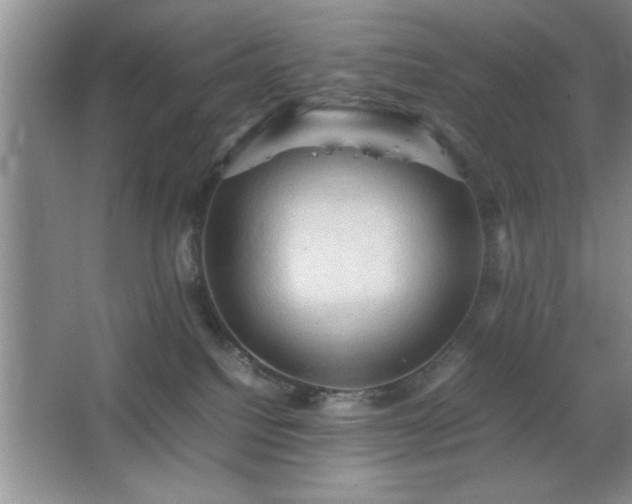 X0000067870088200604131247