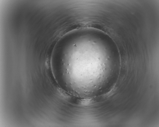 X0000067870090200604131247