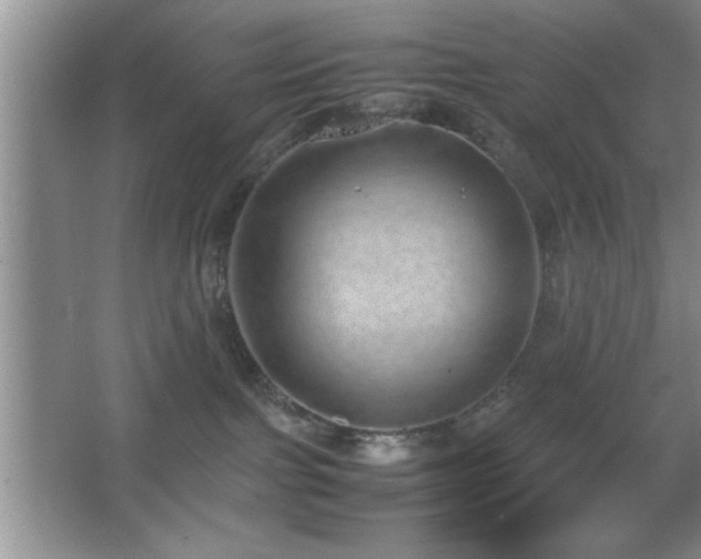 X0000067870091200604131247