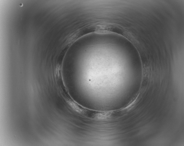 X0000067870094200604131247